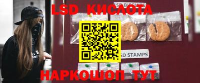 гидра Краснокаменск