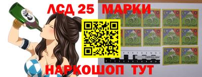 гидра Краснокаменск